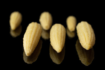 Group of six whole baby yellow corn isolated on black glass