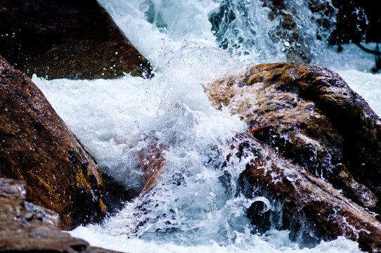Clear water in the forest river