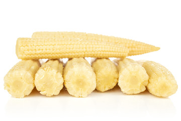 Group of eight whole baby yellow corn isolated on white background
