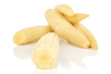 Group of five whole disordered baby yellow corn isolated on white background