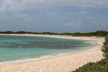 Loblolly bay II