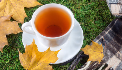 mug of tea on green grass with yellow leaves