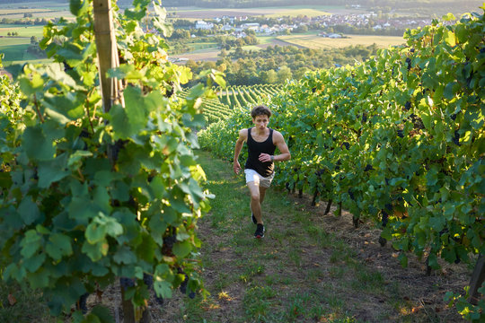 dynamic running jogger Runner jogging  young attractive shorts between vineyards sportsman sunset greenery nature sprint uphill man