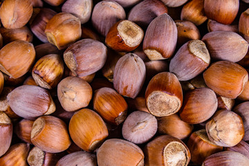 Pile of the hazelnuts for background. Healthy eating