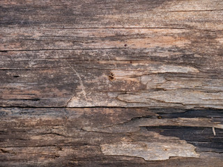 Fototapeta premium Weathered Brown Rustic Wood Background