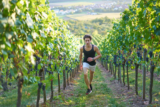 dynamic running jogger Runner jogging  young attractive shorts between vineyards sportsman sunset greenery nature sprint uphill closeup portrait   