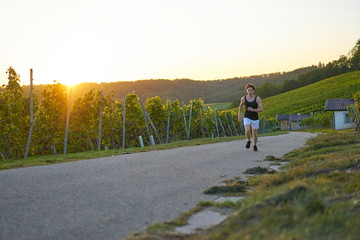 Obraz premium jogger in green vineyard at sunset 