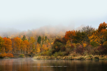 Thick colourful forest and river Gauja in autumn season in Gauja National Park, Sigulda, Latvia.
