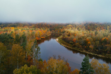 Thick colourful forest and river Gauja in autumn season in Gauja National Park, Sigulda, Latvia.
