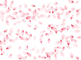Pink sakura flower flying petals isolated on white vector background.