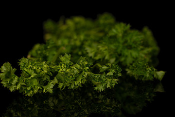 Lot of whole fresh green parsley heap isolated on black glass