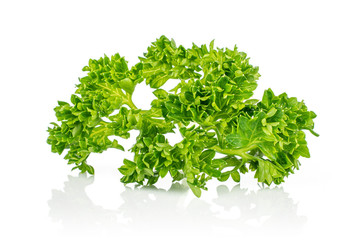 Obraz premium One whole fresh green parsley isolated on white background