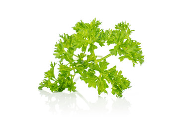 Fototapeta premium One piece of fresh green parsley isolated on white background