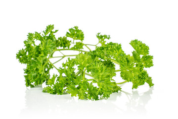 One whole bright fresh green parsley isolated on white background