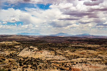 desert road trip views