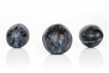 Group of three whole fresh purple plum isolated on white background