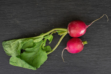 Group of two whole fresh red radish flatlay on grey stone