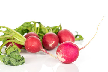 Group of four whole fresh red radish isolated on white background