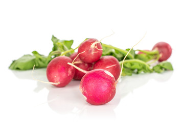 Group of six whole fresh red radish isolated on white background