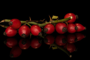 Lot of whole fresh red rosehip isolated on black glass