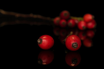 Lot of whole fresh red rosehip front focus isolated on black glass