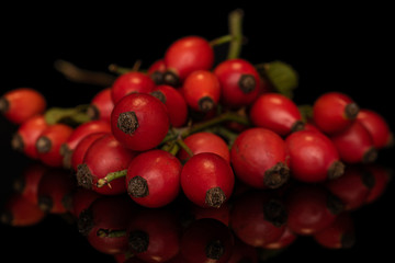 Lot of whole fresh red rosehip cluster isolated on black glass