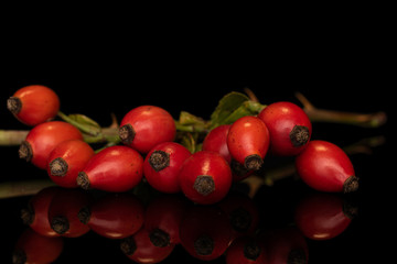 Lot of whole fresh red rosehip cluster isolated on black glass