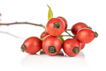 Group of nine whole fresh red rosehip isolated on white background