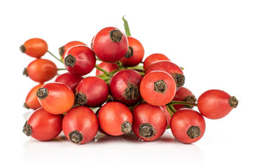 Lot of whole fresh red rosehip isolated on white background