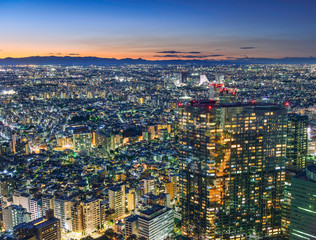 Obraz premium 東京夕景