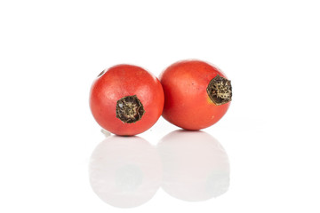 Group of two whole fresh red rosehip isolated on white background