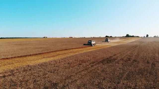 Agricultural combiners working on a field, plowing crops. Crop harvesting concept.