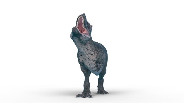 tyrannosaurus rex on white background
