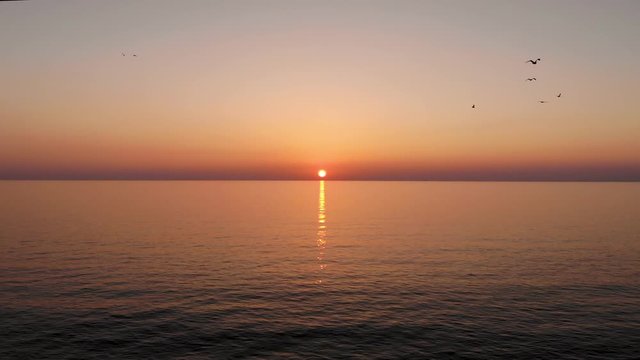 Flight over water forward to the sun, which sets in middle of sea. Flock of seagulls flies right behind, waves barely wave, sun path is reflected in sea surface. Taken by drone at sunset