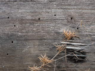 Grey Textured Wood With Holes And Weeds