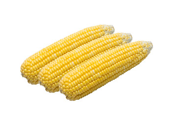 3 yellow corn isolated arranged on a white background