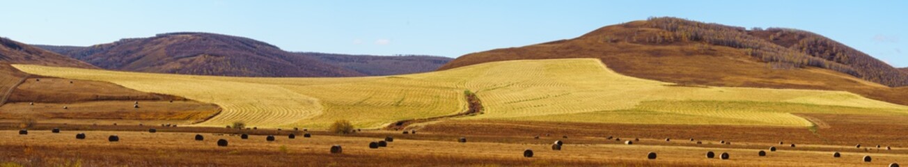 panorama view of vast  grassland, landscape in desert