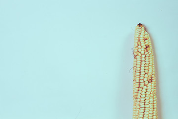 background corn
