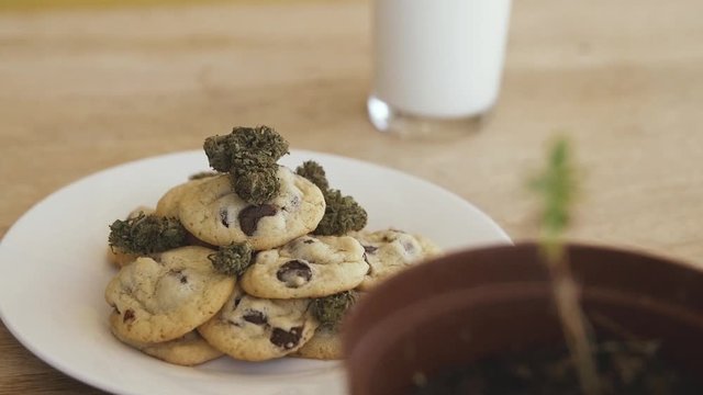 Focus shift from marijuana leaf onto chocholate chip space cookies and milk with cannabis buds on a wooden table