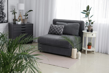 Stylish interior of room with beautiful houseplants