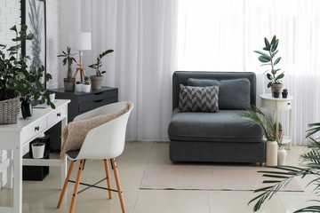 Stylish interior of room with beautiful houseplants