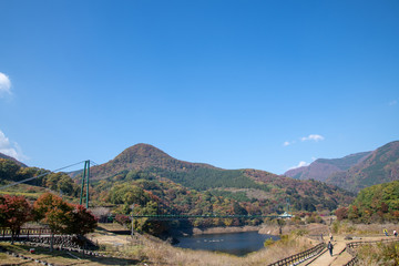 もみじ谷大吊橋