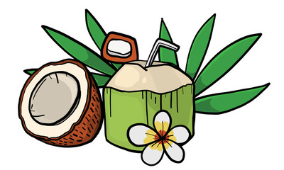 coconut with half and leaf, doodle vector illustration