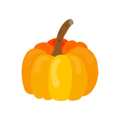 Vector illustration, pumpkin isolated on white. Halloween, Thanksgiving symbol.