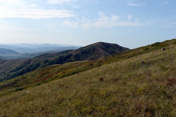   Foothills of the Altai Mountains. Western Siberia. Russia