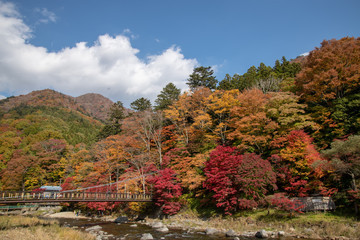 Obraz premium 虹の吊橋