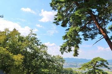 空　緑　秋　風景　杤木