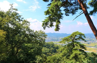 空　緑　秋　風景　杤木