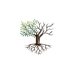 Life and die tree illustration logo design template