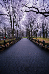Benches and Pathway on a winter morning
